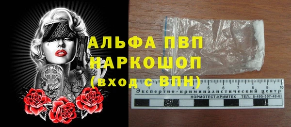 спиды Горняк