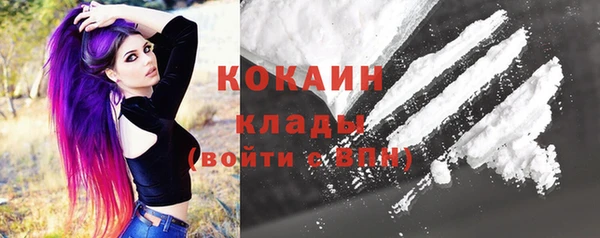 спиды Горняк