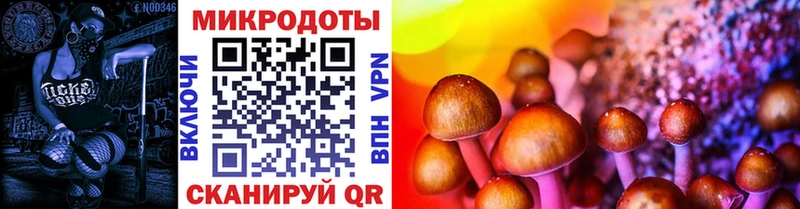 Купить закладки  Северская  Псилоцибиновые грибы GOLDEN TEACHER 